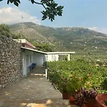 Albert Guest House