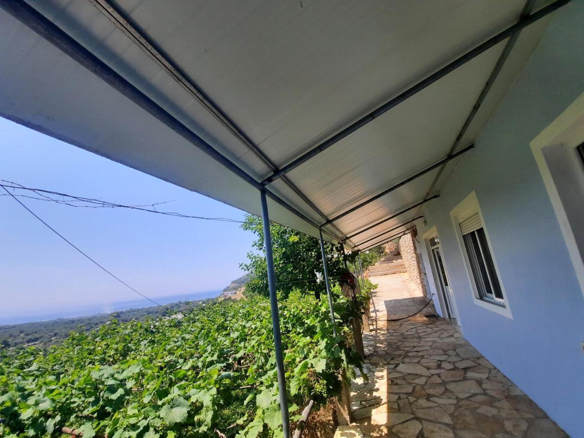 Casa de hóspedes Albert Guest House