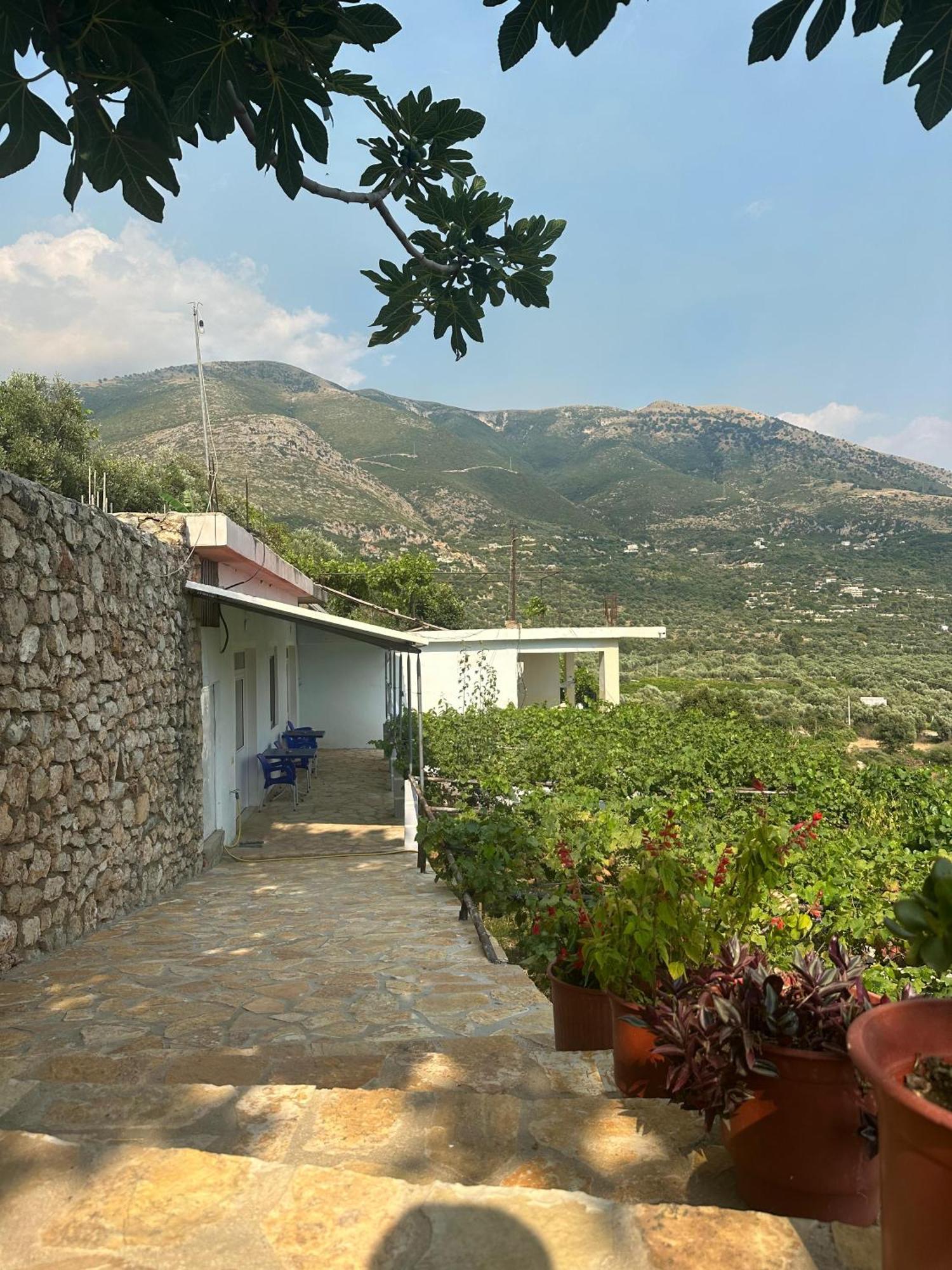 Casa de hóspedes Albert Guest House